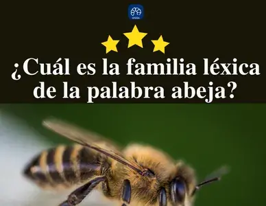 ¿Cuál es la familia léxica de la palabra abeja?