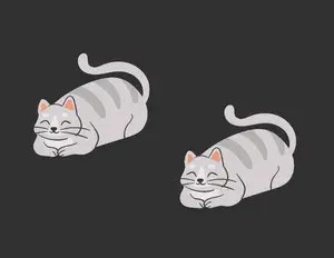 ¿Qué son los adverbios?