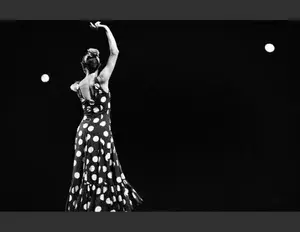 ¿Qué que es un baile mestizo y que representa?