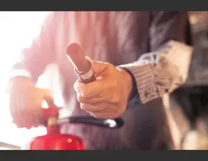 ¿Cuál es la familia léxica de la palabra boca?