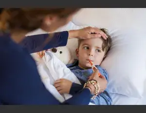 ¿Cuál es la familia léxica de la palabra calor?