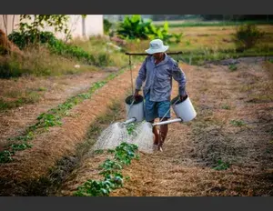 ¿Cuál es la familia léxica de la palabra campo?