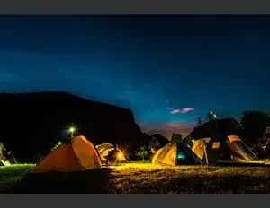 ¿Cuál es la familia léxica de la palabra campo?