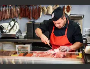 ¿Cuál es la familia léxica de la palabra carne?