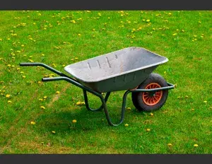 ¿Cuál es la familia léxica de la palabra carro?