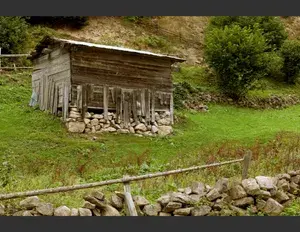 ¿Cuál es la familia léxica de la palabra casa?