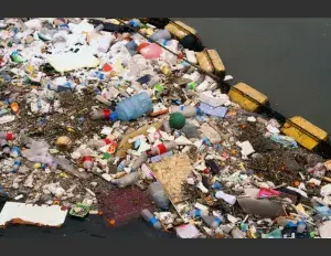 ¿Causas y Consecuencias de la contaminación ambiental?