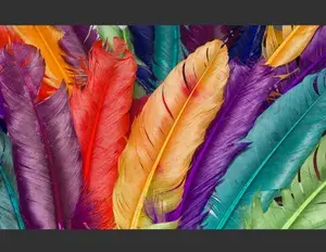 ¿Cuál es la familia léxica de la palabra color?