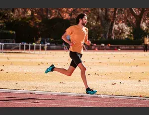 ¿Cuál es la familia léxica de la palabra correr?