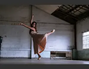 ¿Cuál es la familia léxica de la palabra danza?
