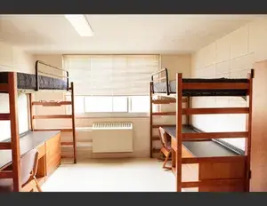 ¿Cuál es la familia léxica de la palabra dormir?