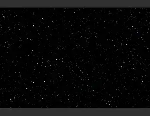 ¿Cuál es la familia léxica de la palabra estrella?