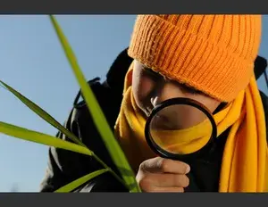 ¿Cuál es la familia léxica de la palabra estudiar?