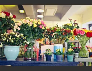 ¿Cuál es la familia léxica de la palabra flor?