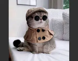 ¿Cuál es la familia léxica de la palabra gato?