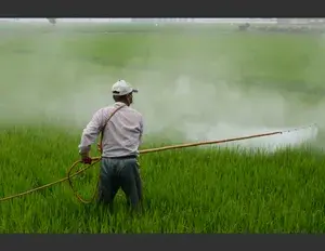 ¿Cuál es la familia léxica de la palabra hierba?