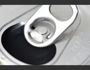 ¿Cuál es la familia léxica de la palabra hoja?