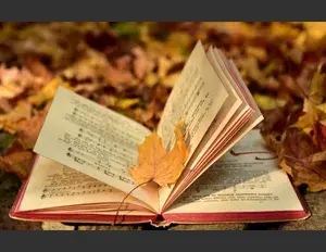 ¿Cómo se dice, iba o hiba?