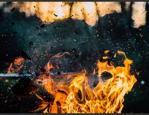 ¿Cuál es la familia léxica de la palabra incendio?