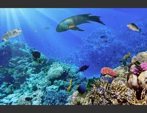 ¿Qué es la familia léxica y 5 ejemplos?