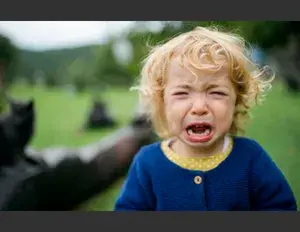 ¿Cuál es la familia léxica de la palabra llorar?