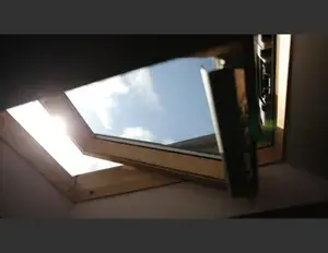 ¿Cuál es la familia léxica de la palabra luz?