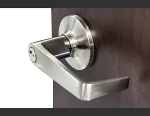 ¿Cuál es la familia léxica de la palabra mano?