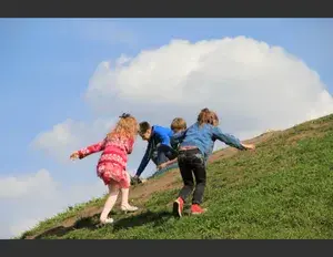 ¿Cuál es la familia léxica de la palabra niño?