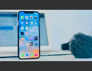 ¿Cuál es la familia léxica de la palabra nuevo?