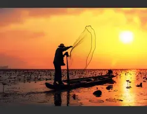 ¿Cuál es la familia léxica de la palabra pez?