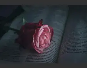 ¿Cuáles son las características de un poema?