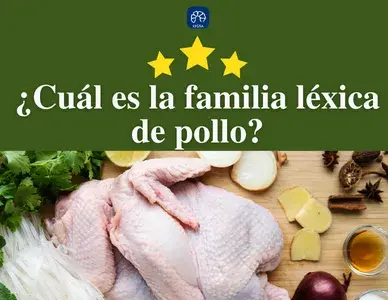 Cuál es la familia léxica de la palabra pollo? | Español