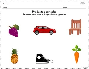 Productos agrícolas para niños.