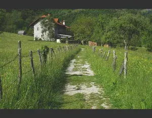 ¿Cuál es la familia léxica de la palabra pueblo?