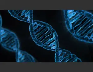 ¿Qué es el ADN y ARN?