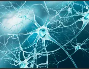 ¿Qué es el aparato de golgi?