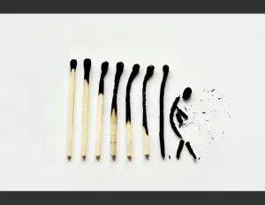 ¿Qué es el ciclo de la vida?