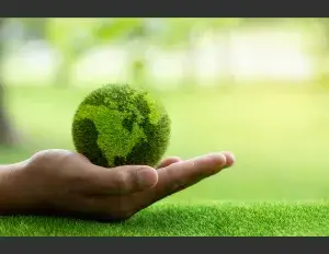 ¿Qué es el ciclo del carbono?
