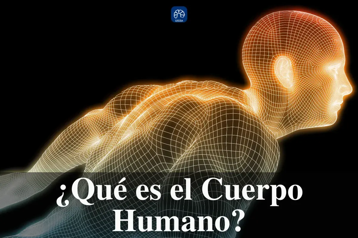 ¿Qué es el cuerpo humano?.