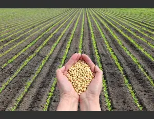 ¿Qué es el evolucionismo