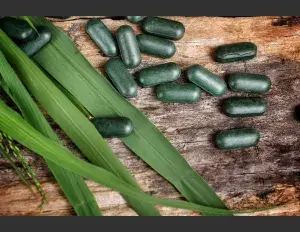 ¿Qué es la clorofila?