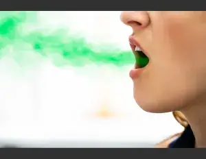 ¿Qué es la clorofila?