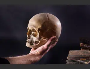 ¿Qué es la etopeya?