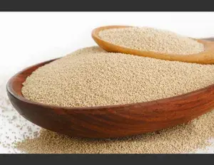 ¿Qué es la levadura?