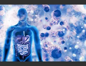 ¿Qué es la respiración celular?