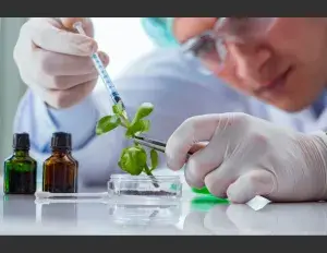 ¿Qué es la Teoría Celular