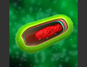 ¿Qué es una célula procariota?