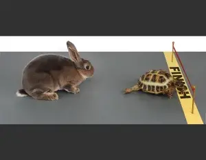 ¿Qué es una fábula?