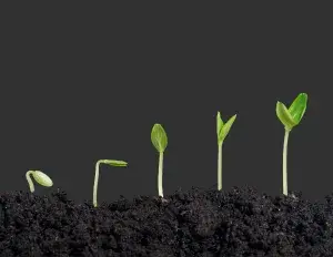 ¿Qué significa crecimiento?