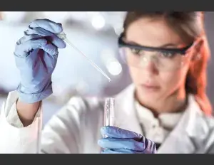 ¿Qué significa dominio?